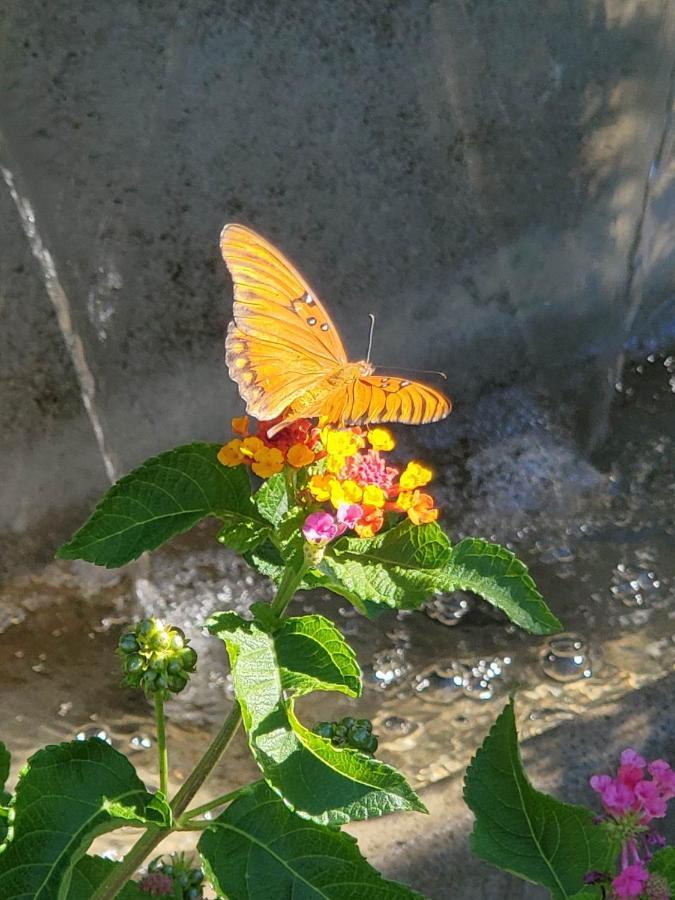 The God Spa 레딩 외부 사진